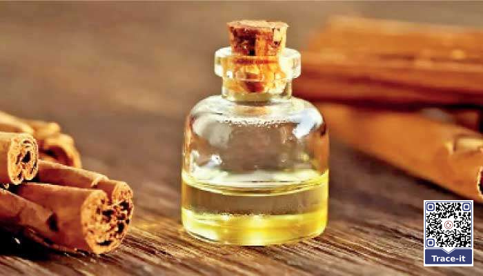 Sri Lanka’s essential oil industry: Opportunities, challenges, and future directions in the global fragrance and flavour value chain
