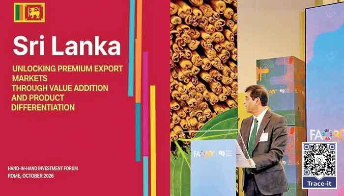 From spice trade to spice science: BOI pitches in Rome