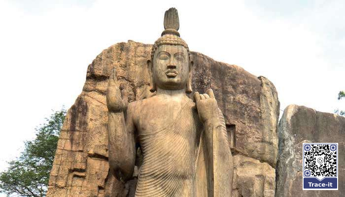 Beyond the robe: Sangha, rule of law and monastic accountability