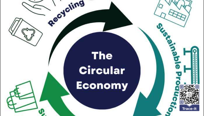 From street Bhandiwalla to $ 624 b Circular Economy: How South Asian tradition can power sustainable growth