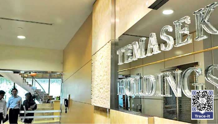 Why Sri Lanka needs Singapore Temasek-style holding model for SOEs